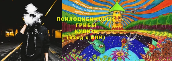 jwh Белокуриха