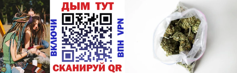 Каннабис OG Kush Афипский